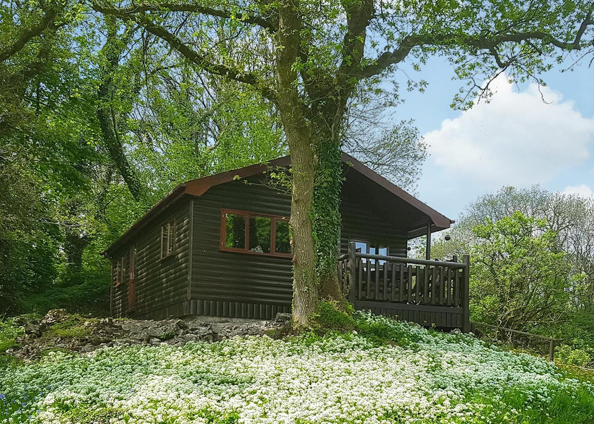 Hotel Garnffrwd Park Llanddarog Zimmer foto